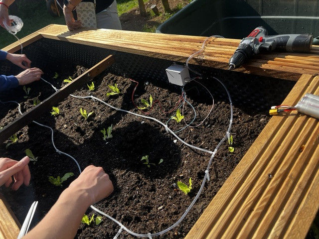 Bayer Foundation Projekt zur autonomen Bewässerung erfolgreich an der Ernst-Reuter-Schule II umgesetzt